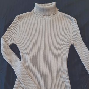 Express Silver Turtle Neck Sweater